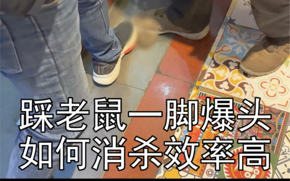 踩蟑螂的见过,踩老鼠踩的咔咔响,见过吗?