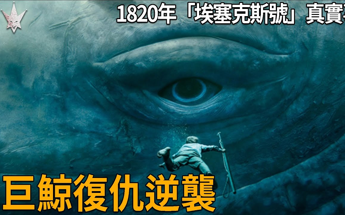 深海巨鲸复仇逆袭,1820年“埃塞克斯号”捕鲸船遭攻击真实事件,最终竟引起人类的自相残害,电影“白鲸传奇:怒海之心”的史实改编取材来源.哔哩...