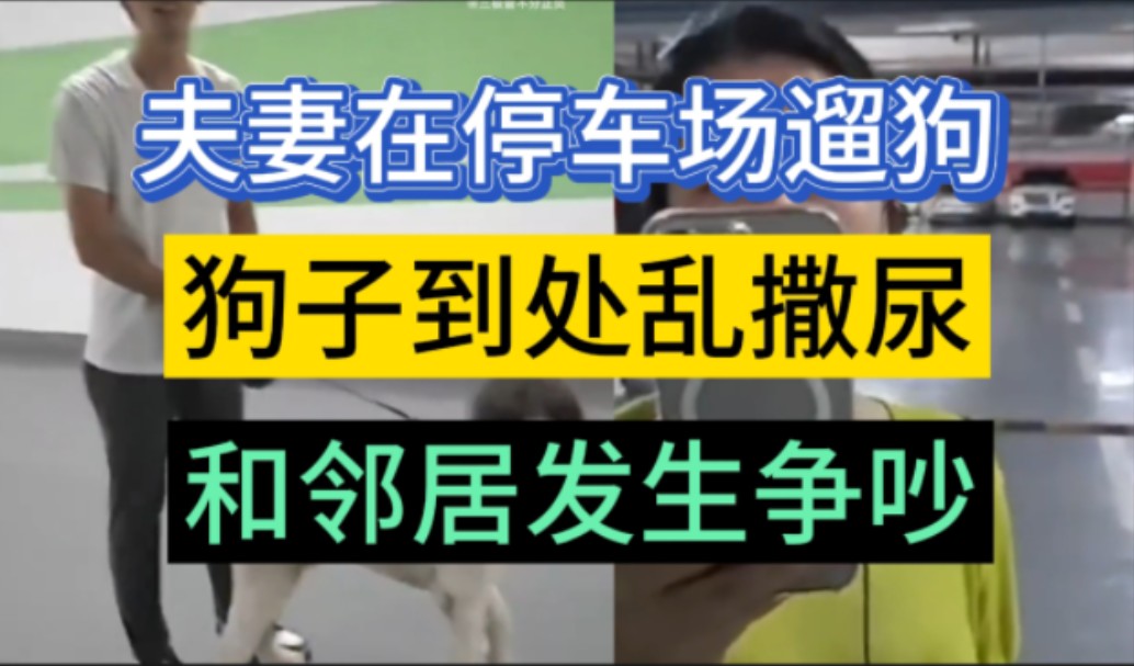 网友爆料:夫妻在地下停车场遛狗,狗子随地撒尿,正好被邻居大哥看到了,双方进行了辩论赛,双方都录了视频,邻居大哥有理有据,跟说相声似的,大家...