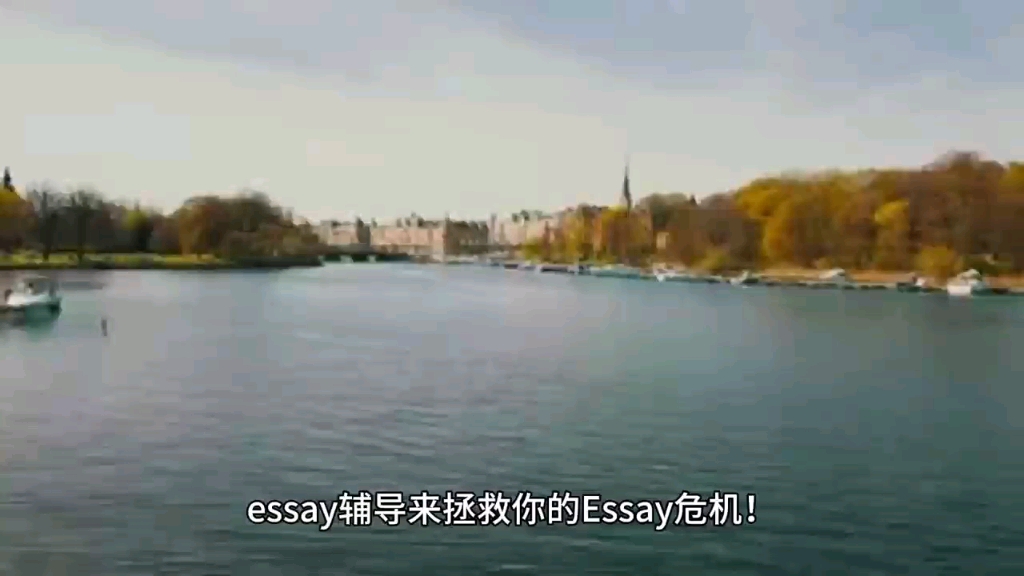 聪明选择!essay辅导让你的essay轻松搞定!哔哩哔哩bilibili