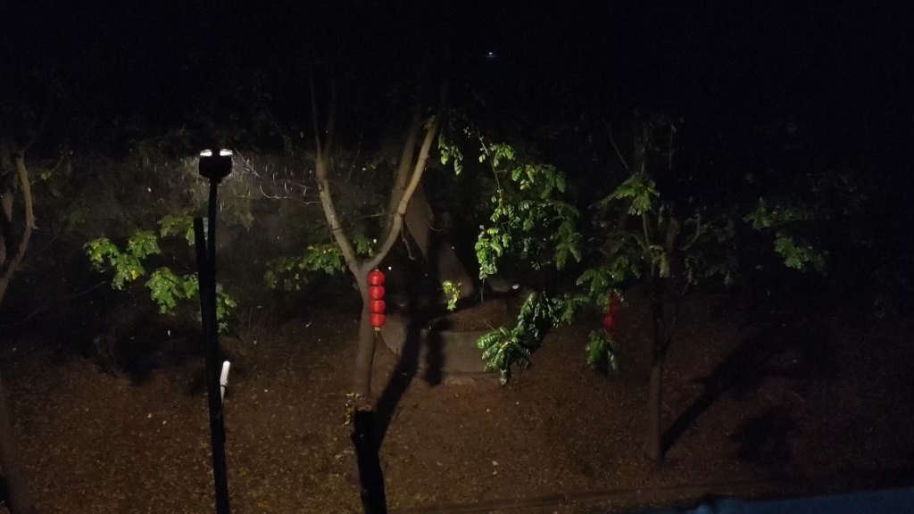 [图]落叶纷飞，飘雨的夜