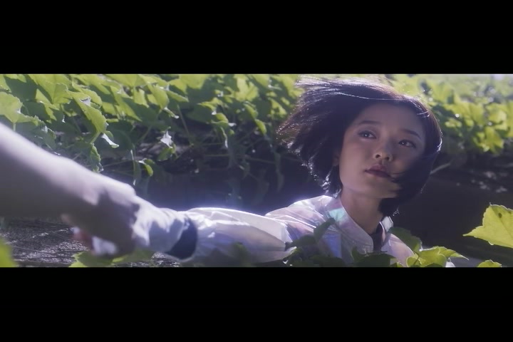 天气预爆里电母的美颜杜鹃的知性美