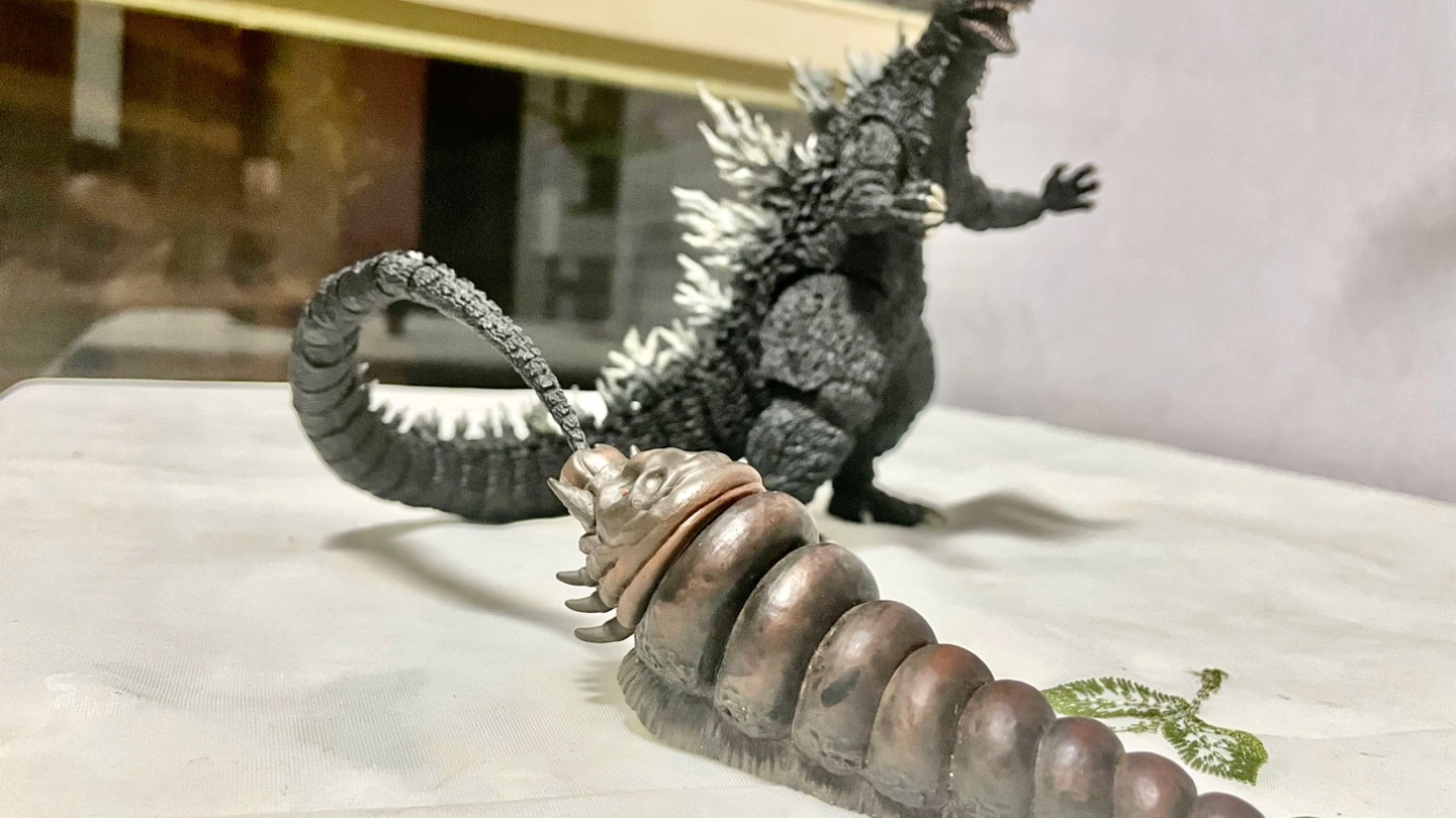 mezco摩斯拉幼虫