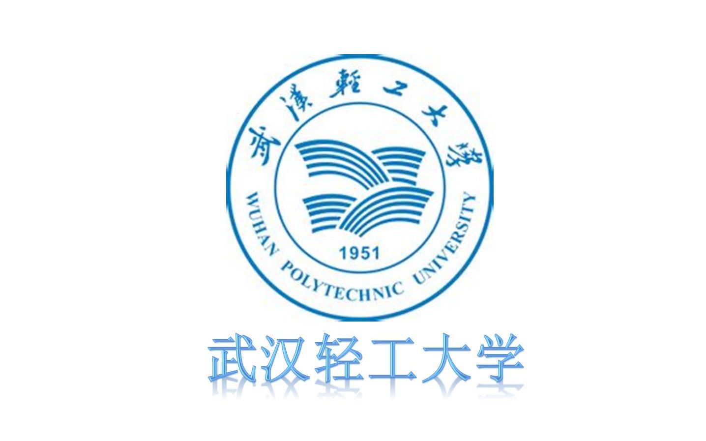 武汉轻工大学mpacc/maud复试真题