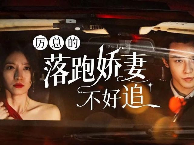 厉总的落跑娇妻不好追【195集完整无码版】1080P高清哔哩哔哩bilibili