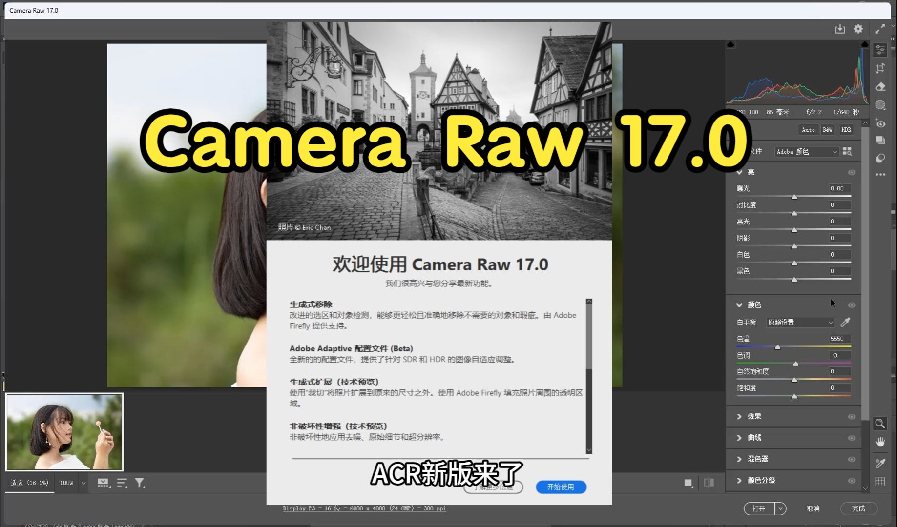 Camera Raw17.0滤镜分享,PS2025滤镜插件新增AI配置文件和AI预设,AI创成式填充和移除工具,简介自取哔哩哔哩bilibili