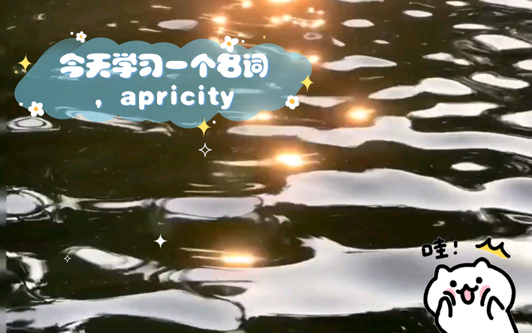 今天学习一个名词,apricity哔哩哔哩bilibili