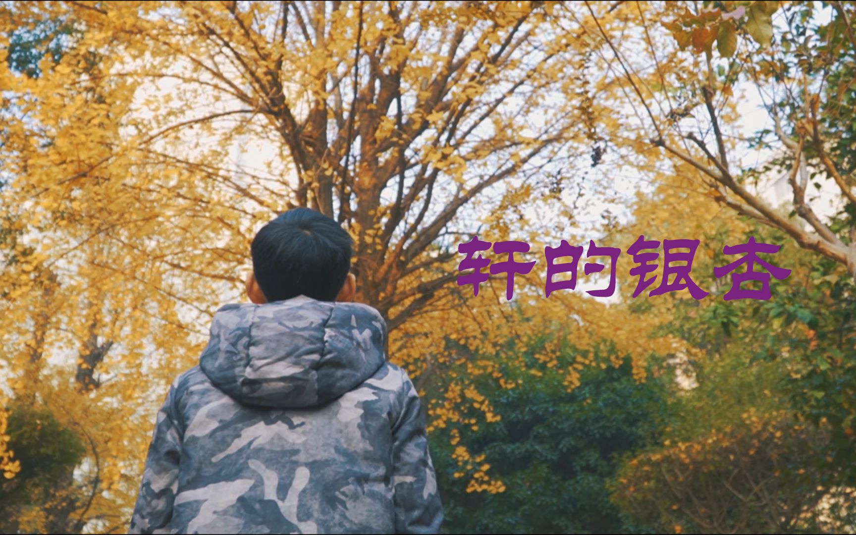 飞宇gmax 索尼α6400 18105f4镜头试拍短片——轩的银杏