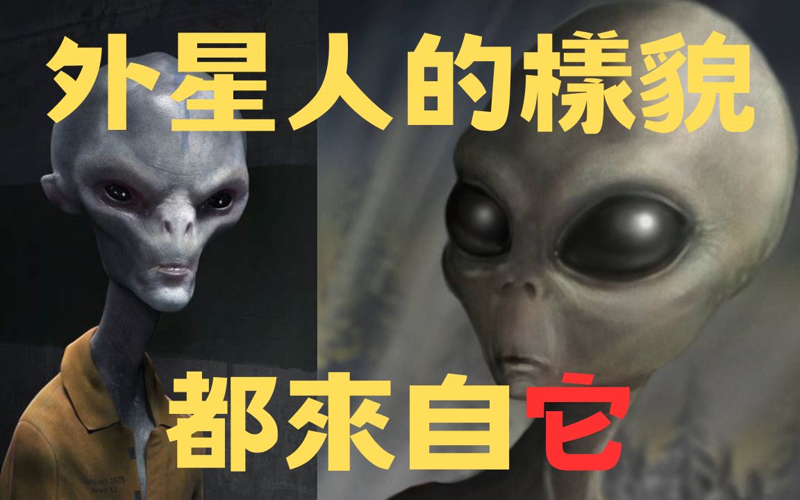 [图]【原来我们看到的外星人都是它】神秘的小灰人，是三人成虎或是真有其事???