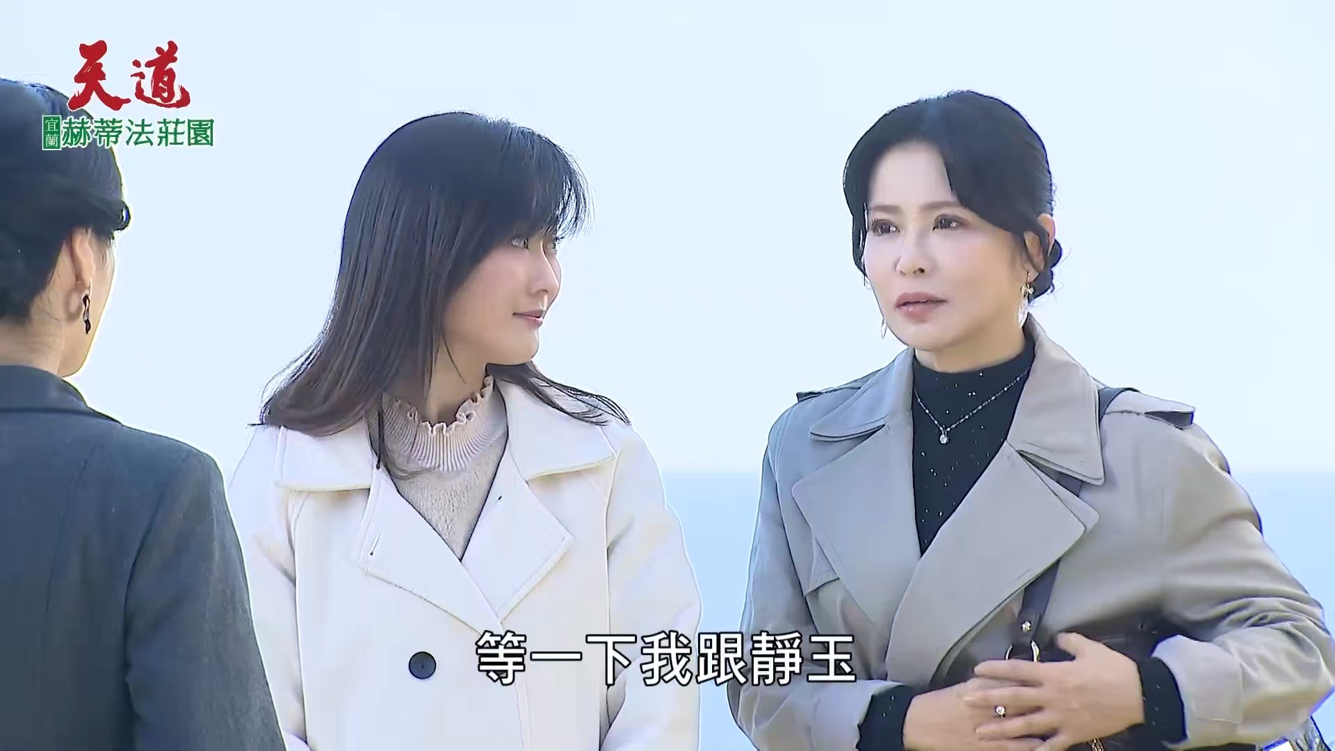 峰玉cut【罗嘉峰*吴静玉】【王振复*陈佩骐】EP180 雪卿海边忏悔 惠娟察觉有秘密哔哩哔哩bilibili