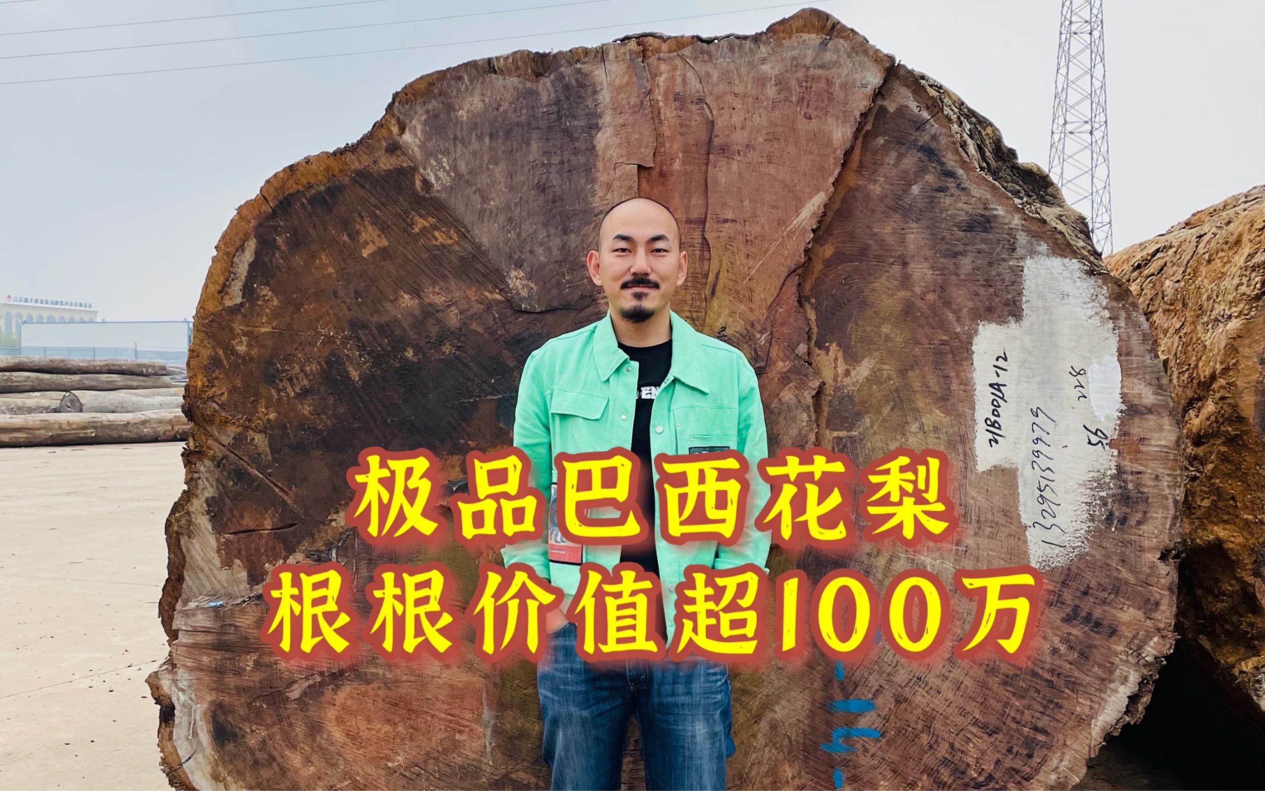 100万一根的巴西花梨产地在非洲,与巴西没啥关系,木材商太贼了哔哩哔哩bilibili