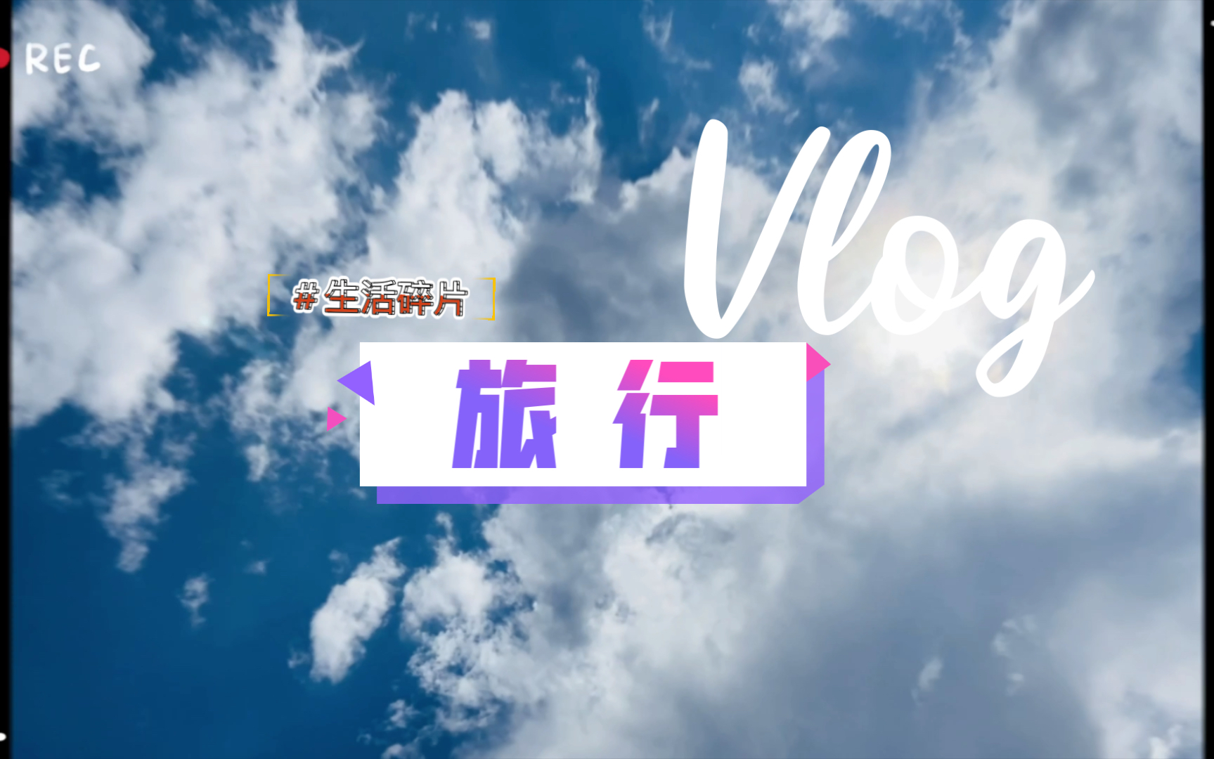 贝贝妮de日常#9哔哩哔哩bilibili