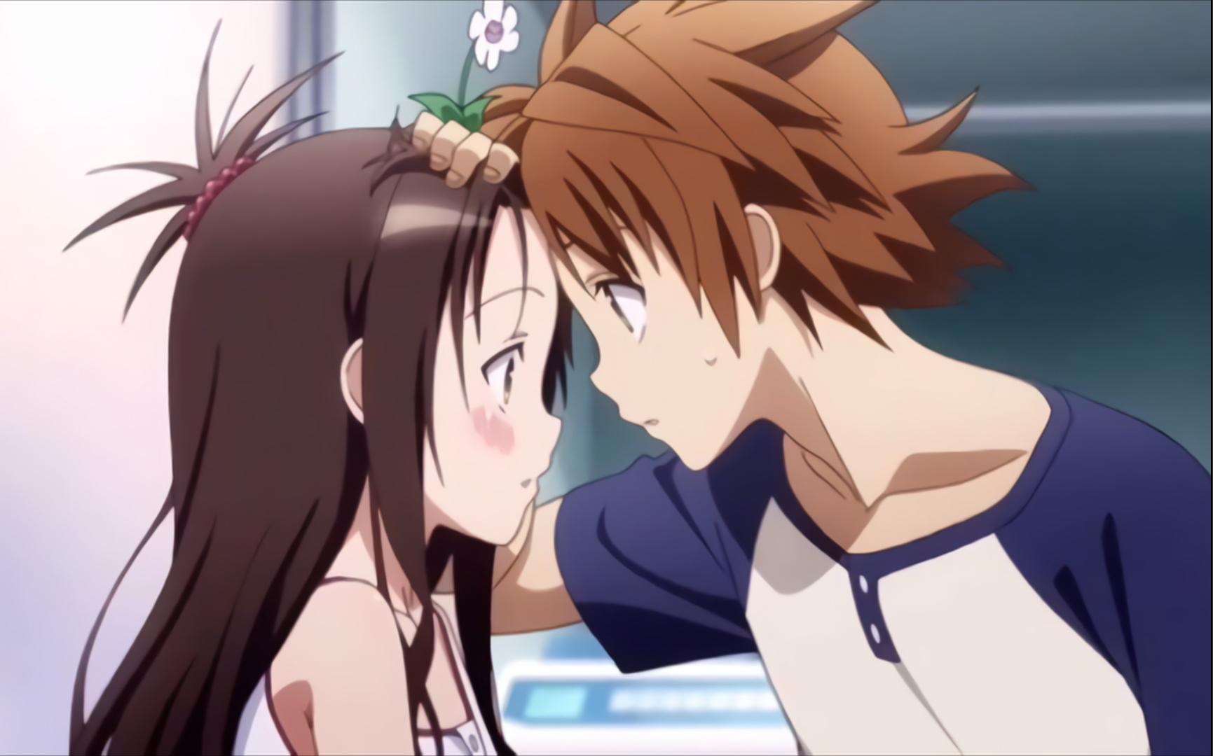 那些超喜欢哥哥的兄控妹妹们