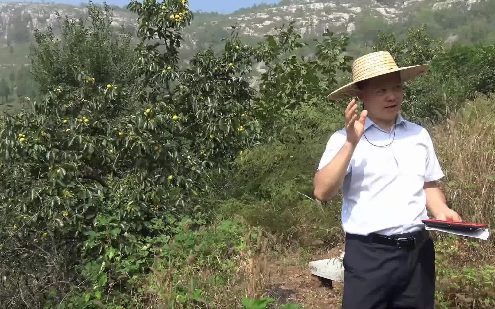 王君植风水大师山东临沂考察视频,公鼐一门五进士两朝帝师,贵至礼部尚书哔哩哔哩bilibili