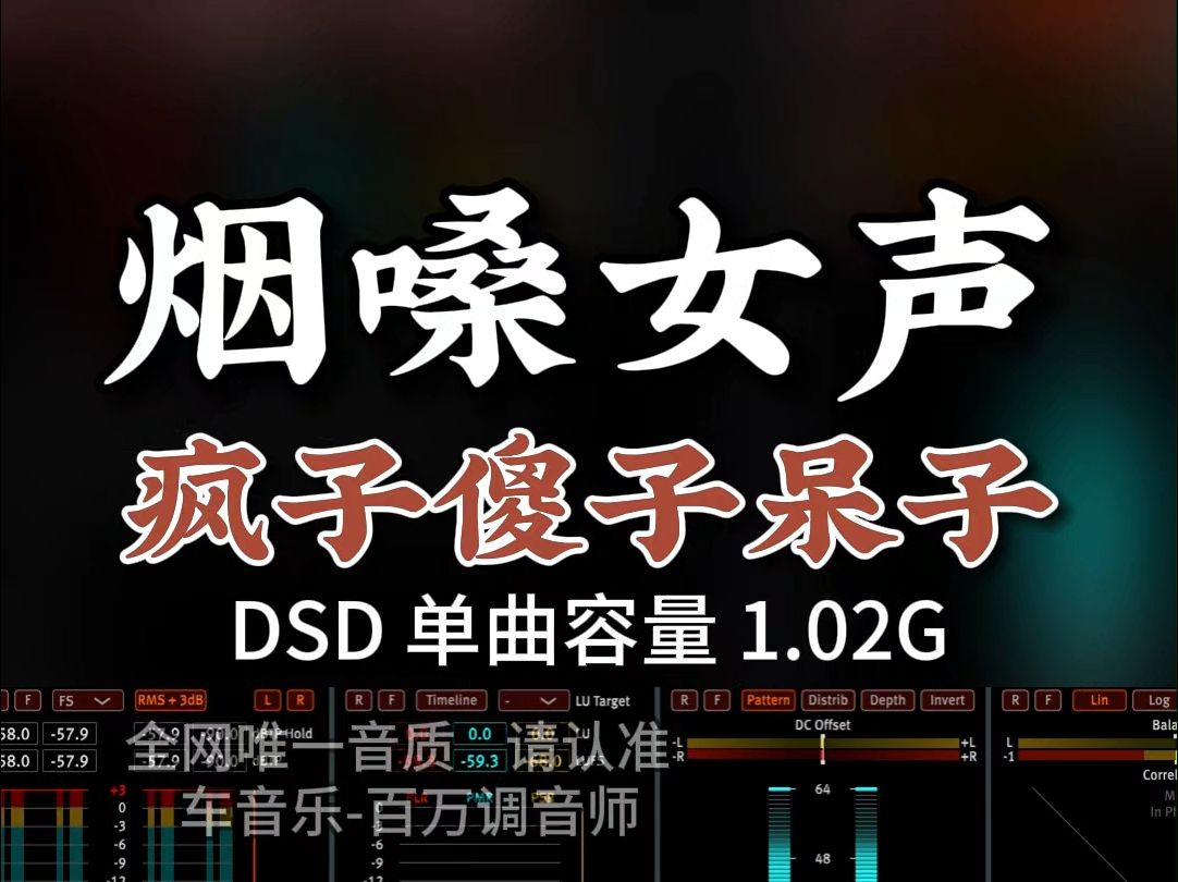 [图]伤感新歌热歌，烟嗓女声，《疯子傻子呆子》DSD完整版1.02G，百万调音师专业录音棚制作，顶级hifi无损音质