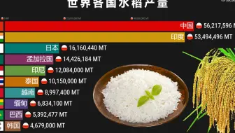 全球水稻产量最多的国家是哪个？ 感谢杂交水稻之父 中国地位坚挺