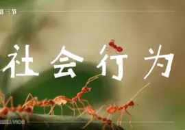 Télécharger la video: 初中生物人教版八年级上册第二章第三节社会行为