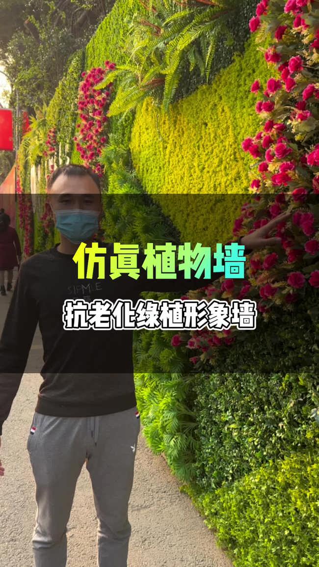 市政道路旁的这面仿真绿植墙,采用抗老化绿植材料制作,历久不褪色,能长期保持良好的景观效果 #抗老化植物墙 #仿真植物墙 #仿真植物围挡 #仿真绿植墙...