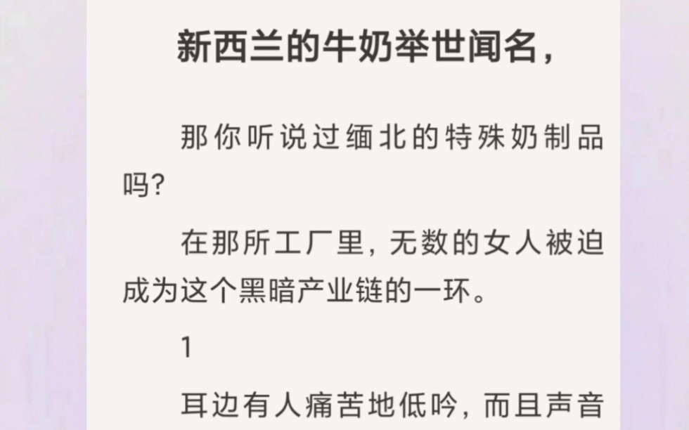 你听说过缅北的特殊奶制品吗?在那所工厂里,无数的女人被迫成为这个黑暗产业链的一环.哔哩哔哩bilibili