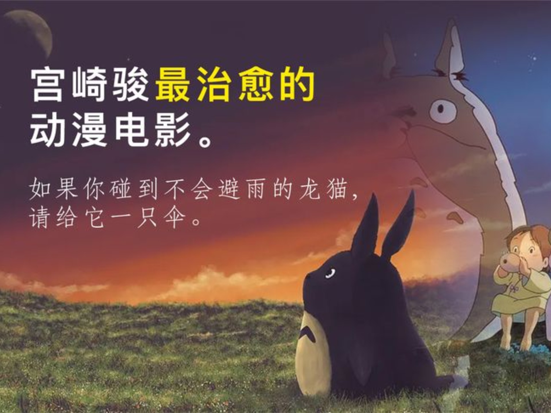 龙猫的影评