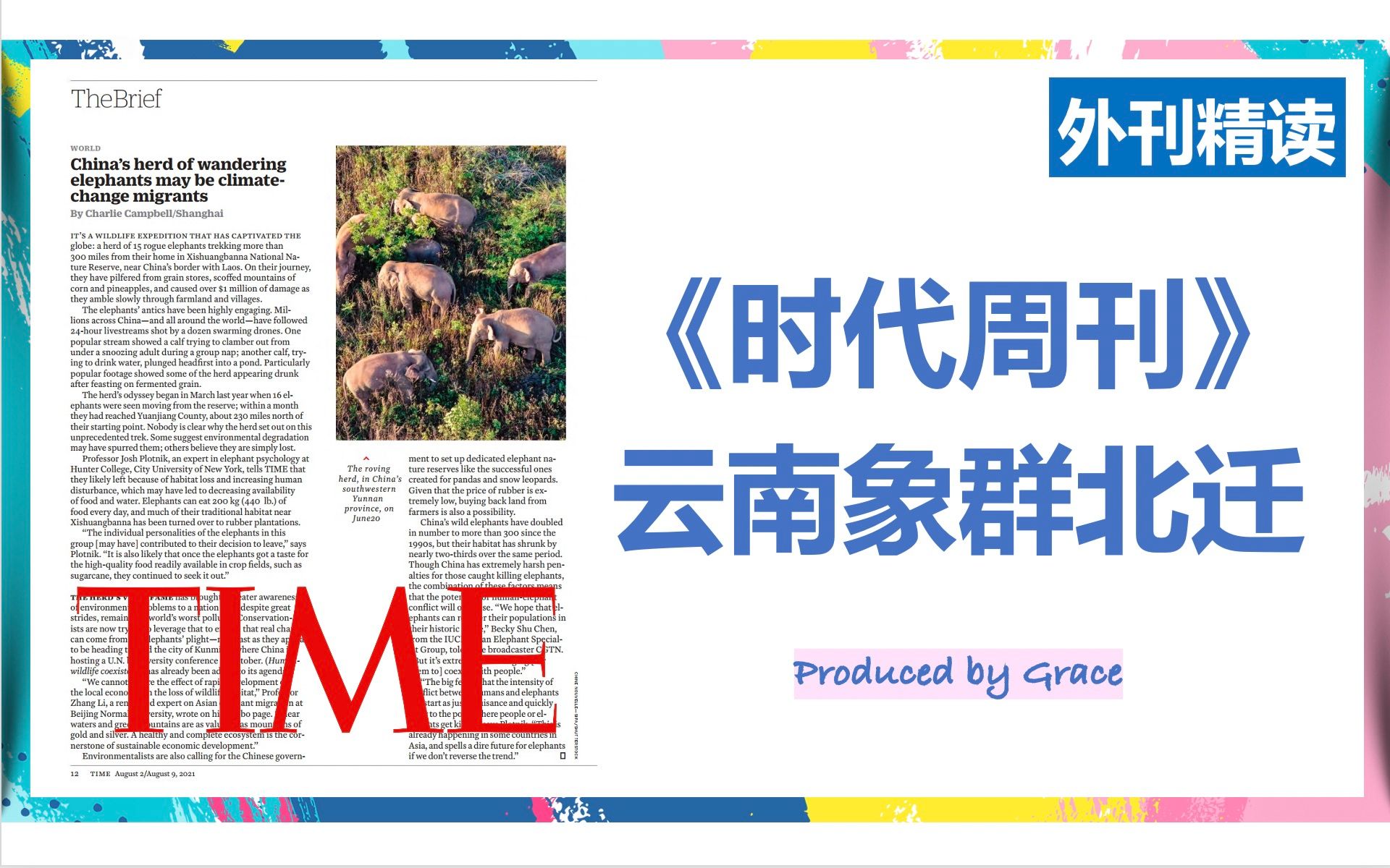 [图]【英语外刊】精读|词汇精讲|时代周刊|云南大象出走引发对生态环境保护的关注