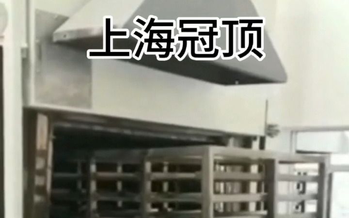 上海真空热压连续网带式烧结炉 高温网带炉厂家 冠顶设备哔哩哔哩bilibili