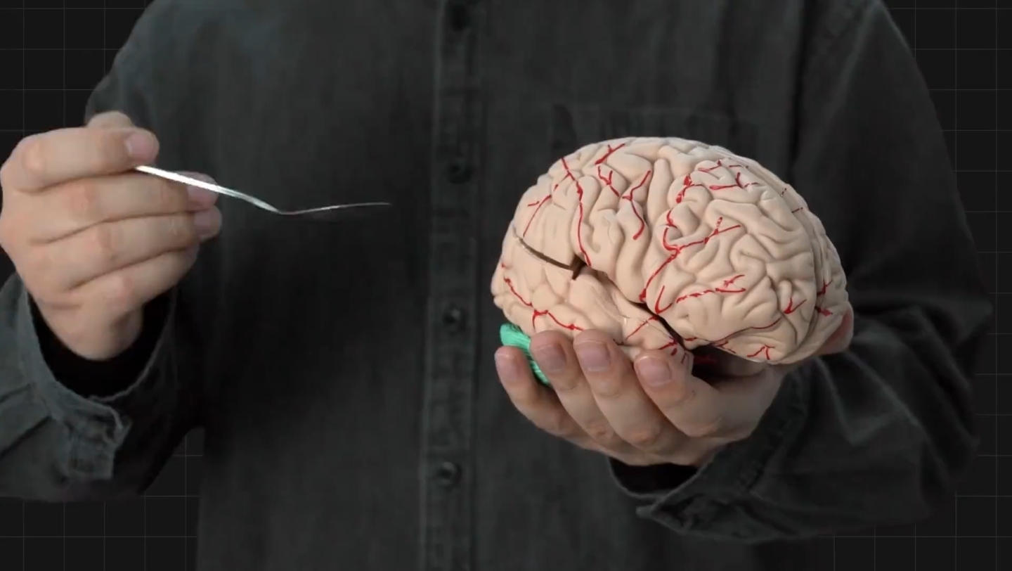 如果把你的脑子挖一勺,会失忆吗?