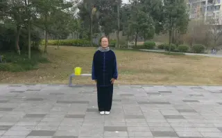 杨式太极拳 哔哩哔哩 Bilibili