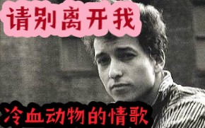 Bob Dylan《Sara》 纪念死去的爱情,纪念逝去的青春哔哩哔哩bilibili