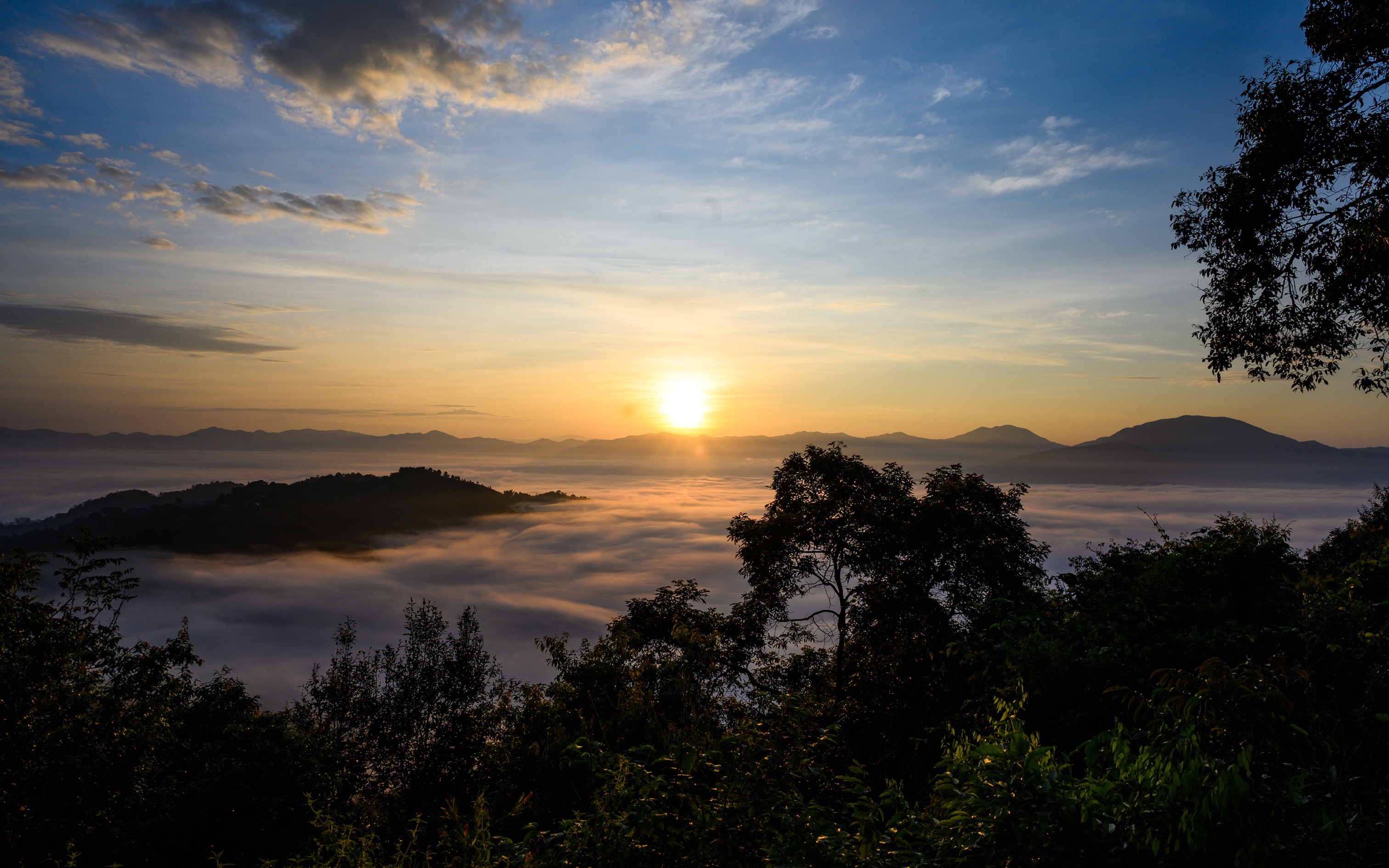 [图]七彩景迈山,千年古茶林