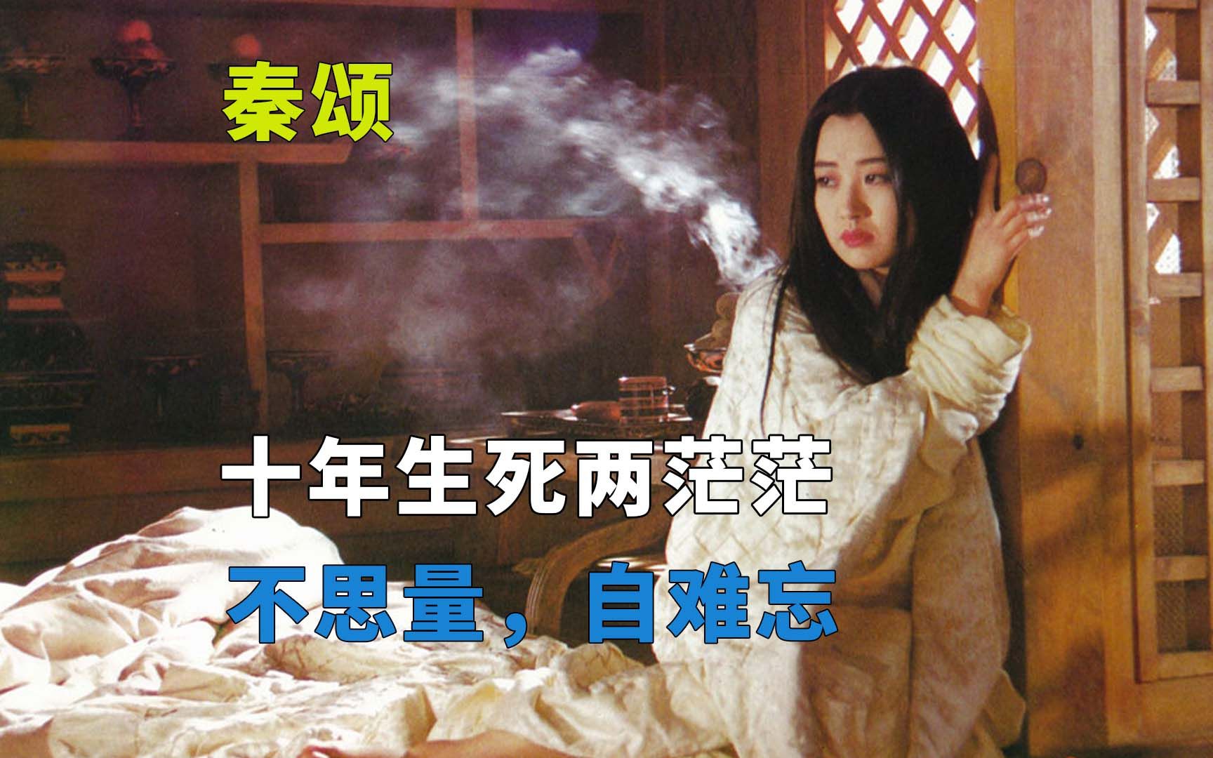 秦颂:十年生死两茫茫,不思量,自难忘哔哩哔哩bilibili