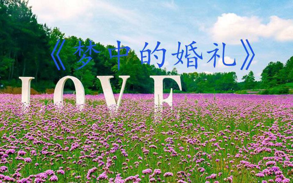 活动作品钢琴曲梦中的婚礼曲终梦醒泪目
