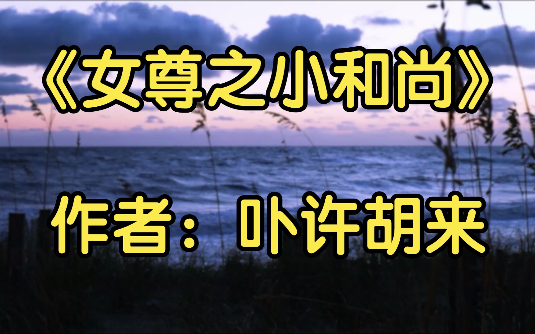 【推文】《女尊之小和尚》作者:卟许胡来哔哩哔哩bilibili