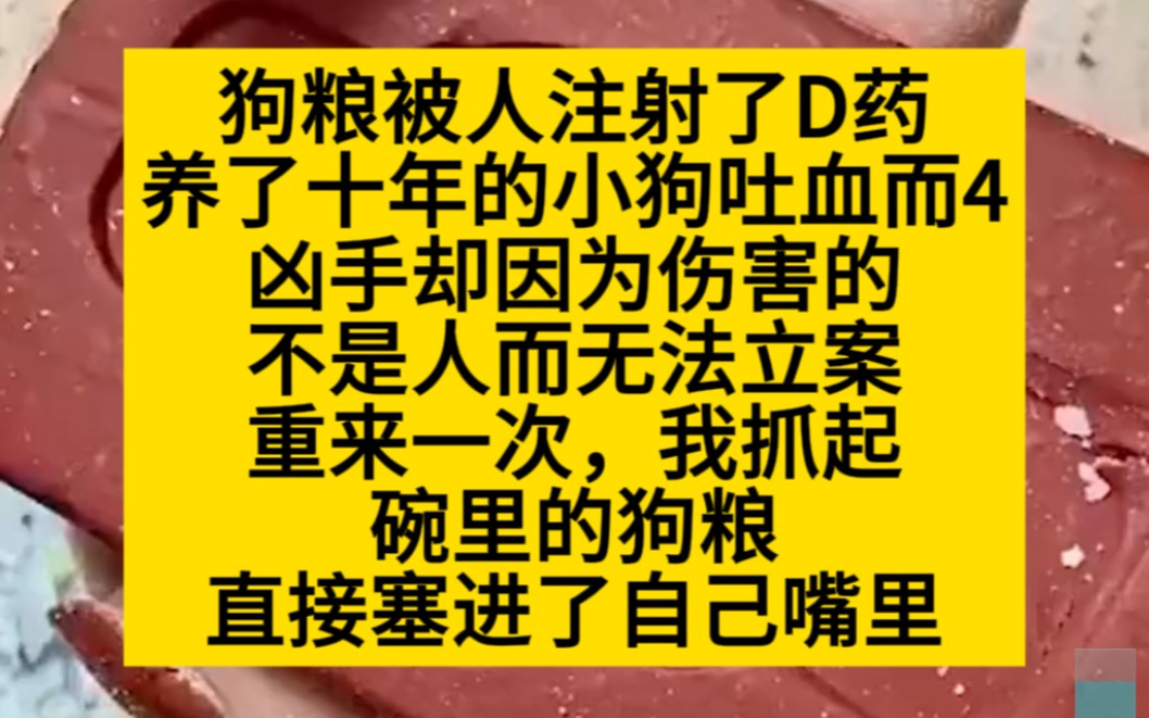 狗粮被人注射了D要,养了十年的小狗4了,重生回来,小说推荐哔哩哔哩bilibili