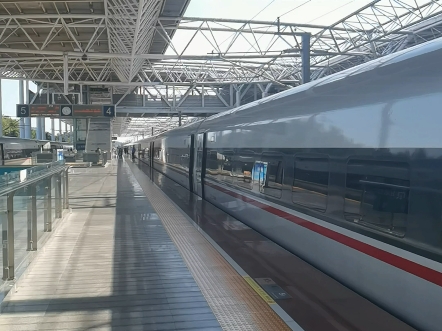 抢局广九段cr400af-a-2069从岳阳东站出站