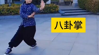 王树金传八卦掌基本功训练_哔哩哔哩_bilibili