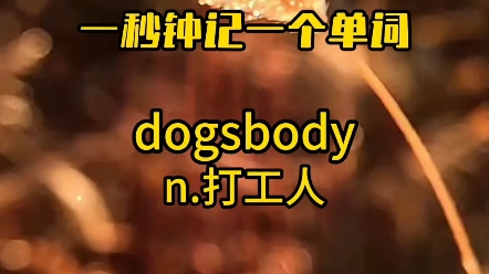 一秒记单词,打工人dogsbody累得像狗dogs一样的身体body哔哩哔哩bilibili