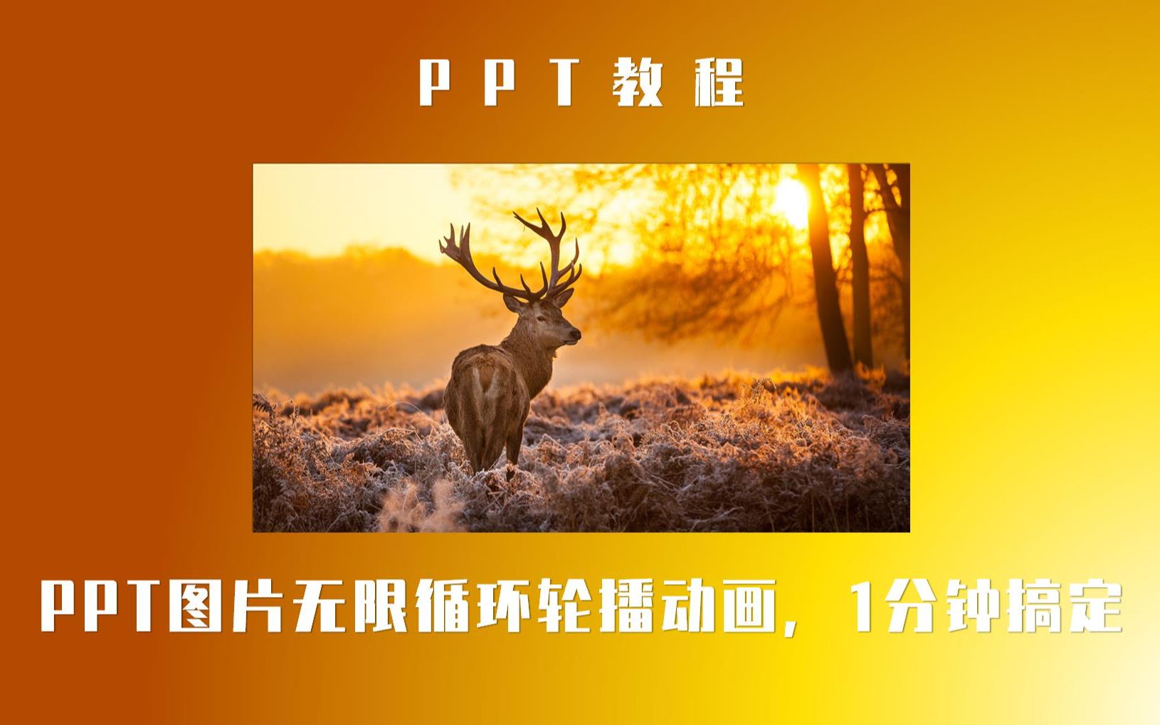 【PPT教程】PPT图片无限循环播放,这也太神奇了哔哩哔哩bilibili