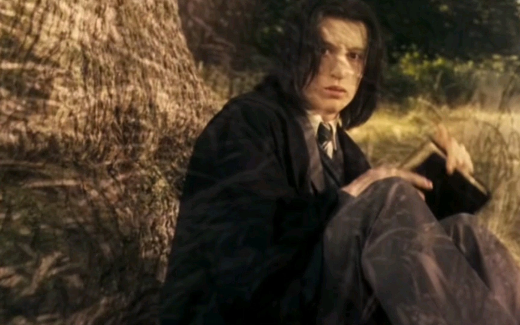 【斯内普】那个柳树下的少年,我多想再看一眼