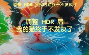 Descargar video: HDR 启动！！！（HDR开启后屏幕发灰不清晰处理方法）