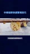 Tải video: 中蜂弱群快速繁殖技巧