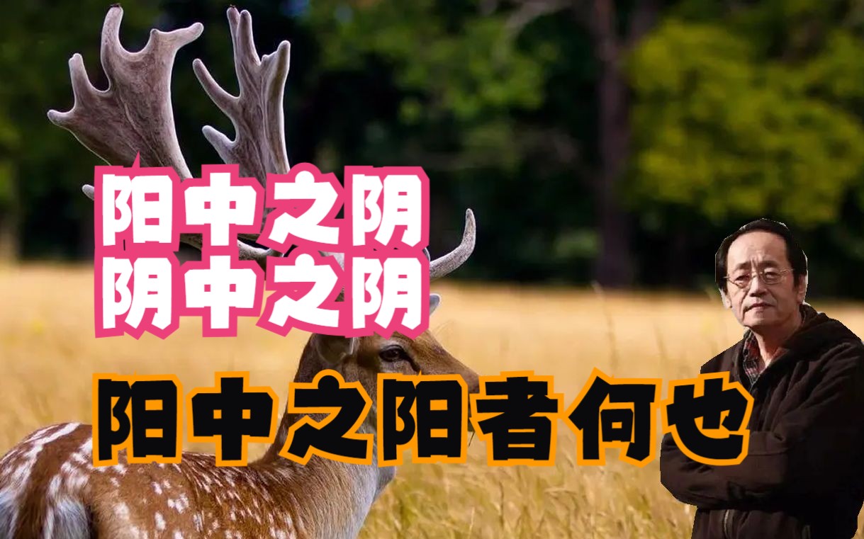 倪师:阳中之阴,阴中之阴,阳中之阳者何也