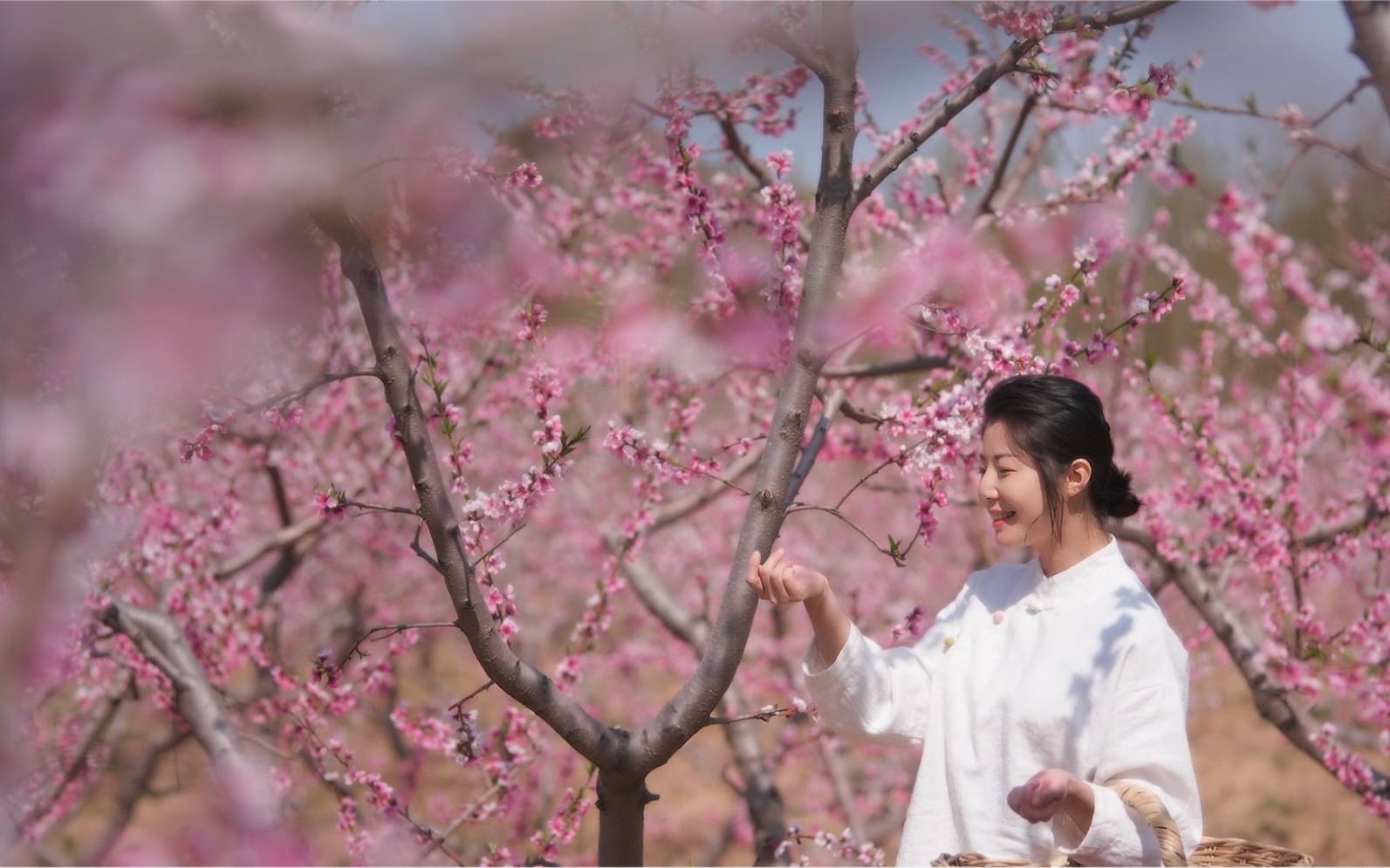 [图]“桃花嫣然出篱笑，似开未开最有情”——桃花酿