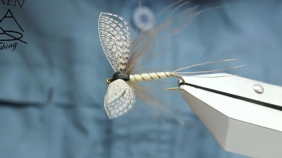 飞蝇毛钩绑制-Spent Mayfly with Wally wing (dry fly)_哔哩哔哩_bilibili