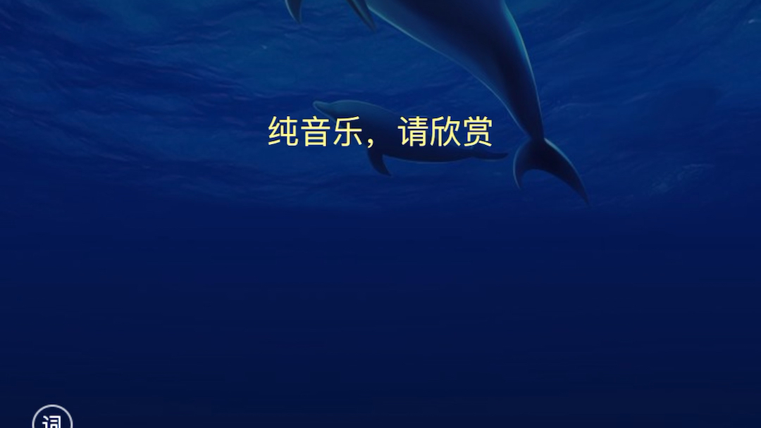 单曲滨海 月之门哔哩哔哩bilibili