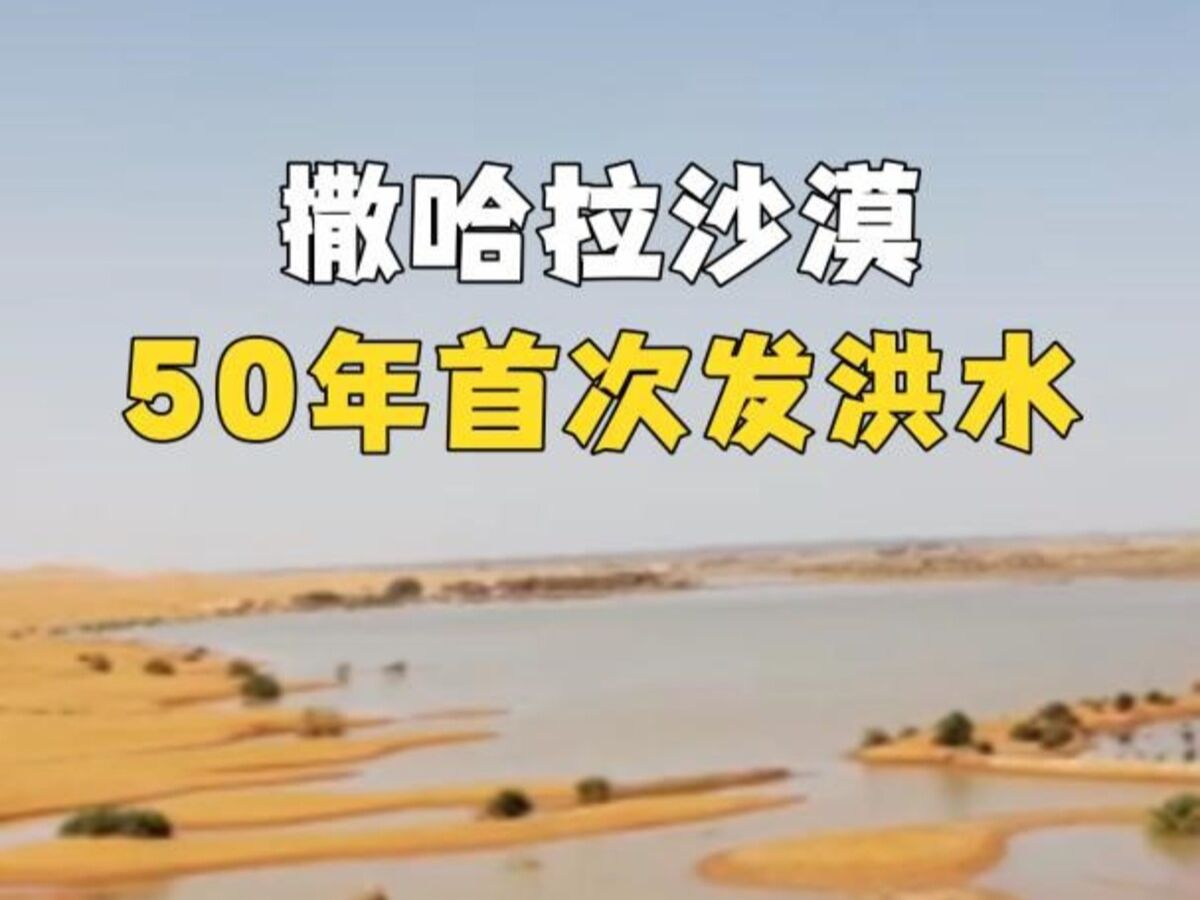 撒哈拉沙漠50年来首次发洪水 部分地区两天降下全年雨量哔哩哔哩bilibili