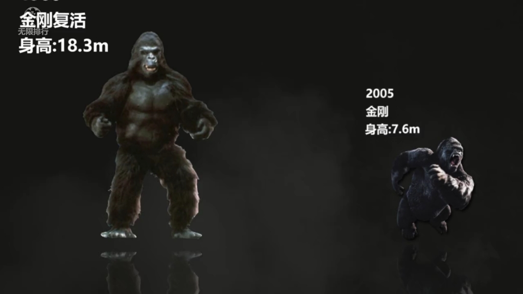 历年来金刚的身高排行