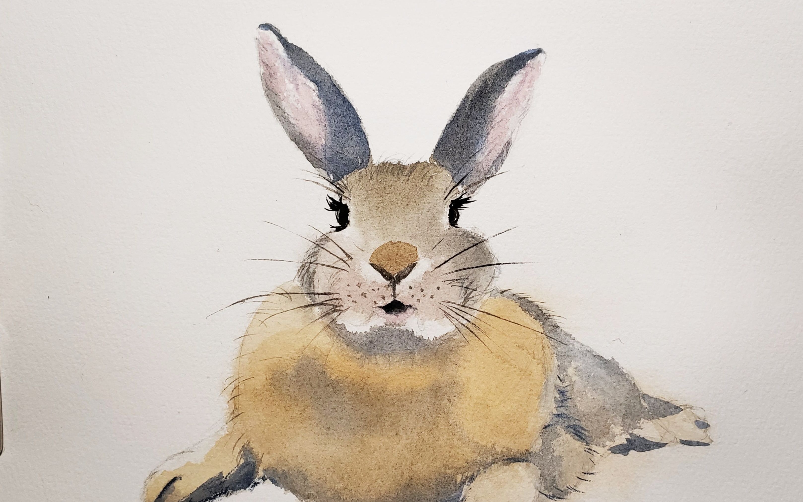 给小兔画的肖像嘻嘻