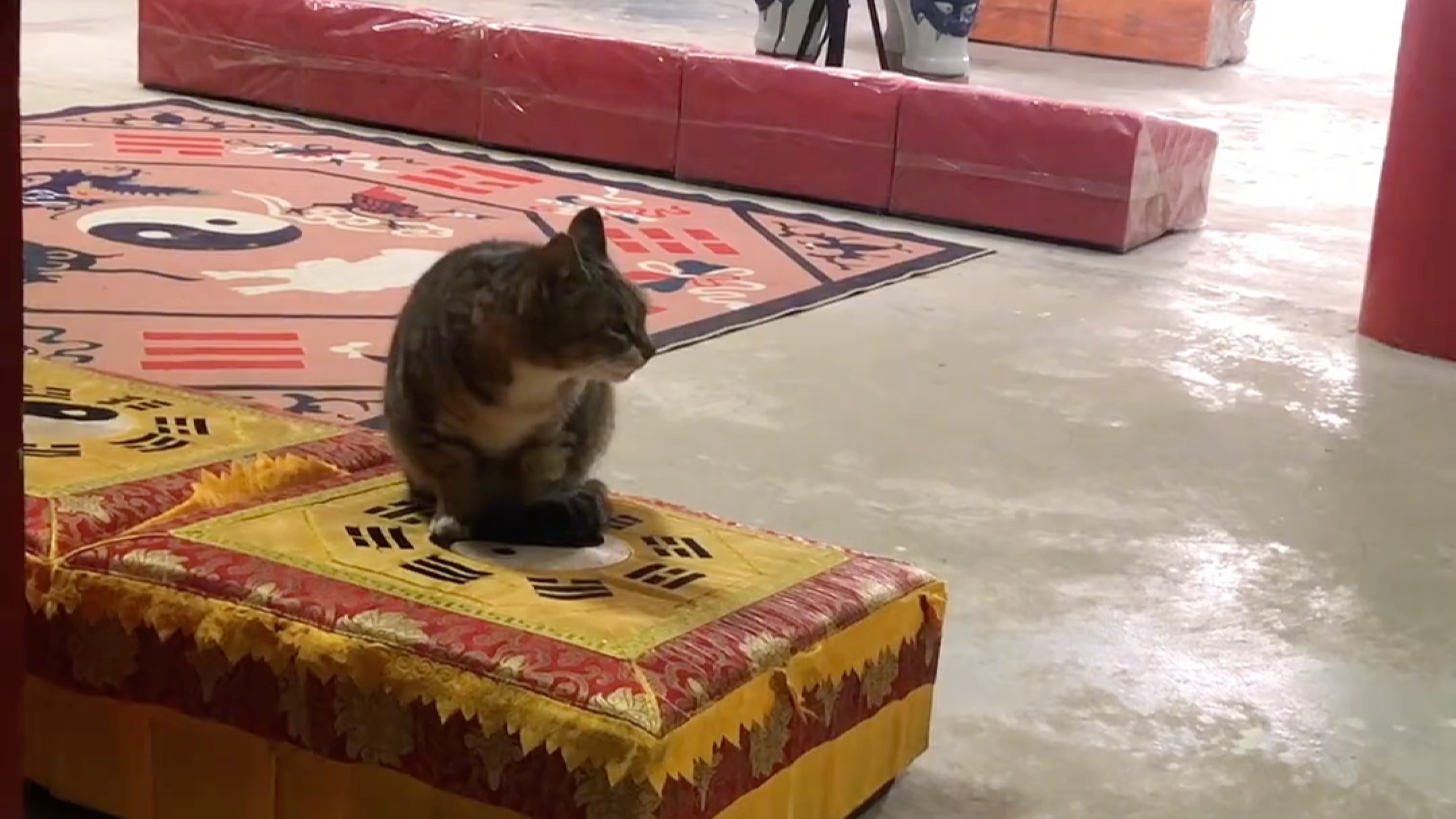 超度老鼠-如何让老鼠自动离开 超度老鼠-如何让老鼠自动离开