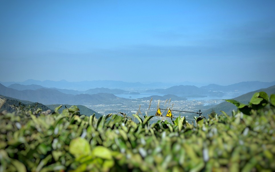 好天氣 週末 打卡四明山觀景臺